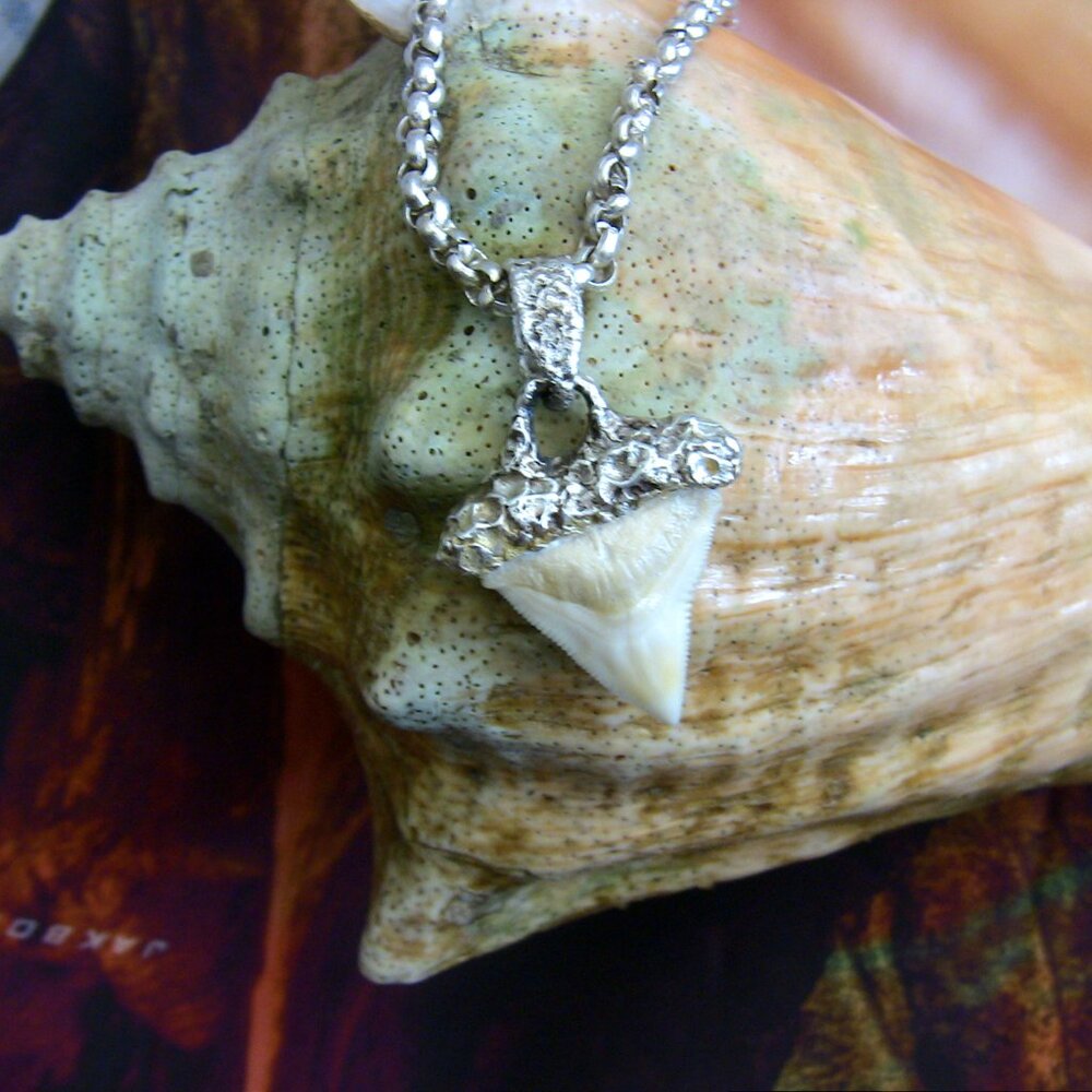 Bull Shark Tooth Pendant in 999 pure silver